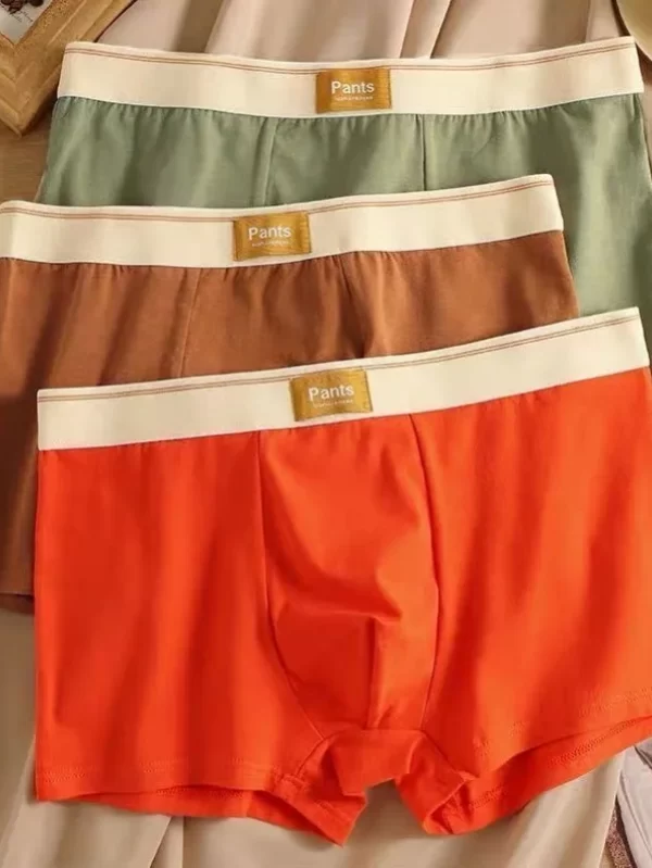 Roupa Interior de Algodão Confortável Masculina, Boxer Shorts Meninos, Cuecas Sexy, Calcinhas Moda Respirável, Plus Size, XL-7XL, 3Pcs